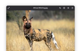 Loupe Image Viewer screenshot 1