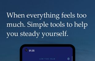 Regulate tab with Crisis Protocol for meltdown, shutdown and panic, plus 5-4-3-2-1 grounding, Sensory Menu, Steady Focus working sessions, and Transition Timer.