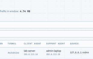 Live stream log with per-stream traffic