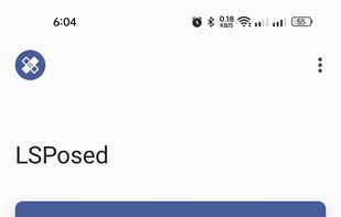 LSPosed screenshot 1
