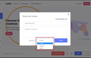 LT Browser screenshot 3