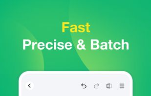 Fast, Precise & Batch