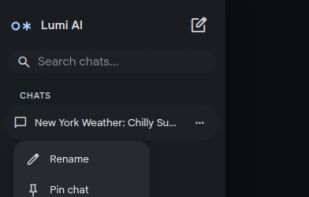 Lumi AI screenshot 3