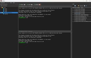 lvdTerm screenshot 1