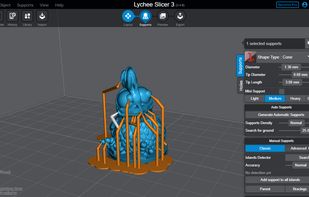 Lychee Slicer screenshot 2