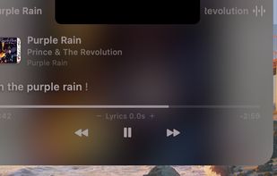 Lyrimuse screenshot 2