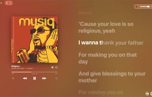 Lyrimuse screenshot 1