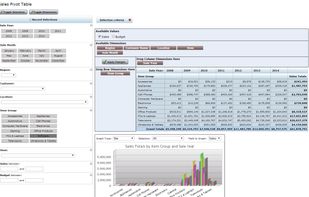 Web pivot table