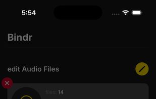 audiobook binding process