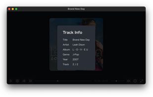 The track info overlay, opened with the i key