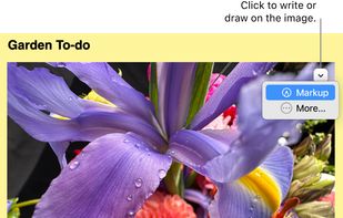 Mac Stickies screenshot 1