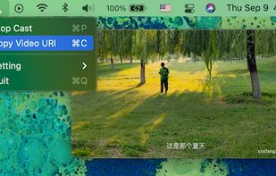 You can copy the video link after the video is casted.