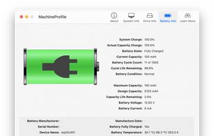 MachineProfile also displays internal battery information for Mac notebook computers.