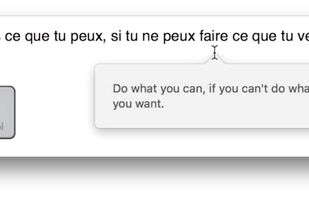 MacLinguist screenshot 1