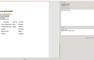 Invoice Extraction Verification Window: Verify extracted values from PDF Parser