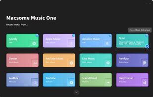 Macsome Music One screenshot 1