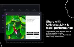 Macula.Link screenshot 2
