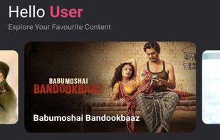 Home Screen Interface