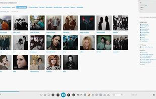 Madsonic screenshot 2
