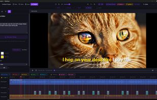  Lyrics editor with full sentence karaoke mode, word-level highlight timing, and style controls for font, color, and position.