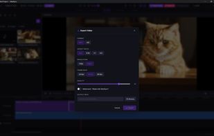 Export dialog with MP4/GIF format options, aspect ratio presets (16:9, 9:16, 1:1, 4:5), resolution up to 1080p, frame rate selection, and quality slider.