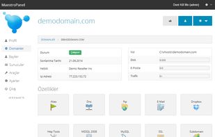 MaestroPanel screenshot 1