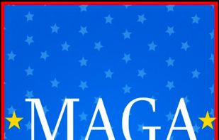 MAGA! screenshot 1