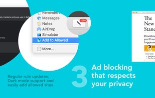 Magic Lasso Adblock screenshot 3