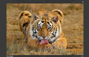 Magnific Popup screenshot 1