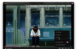 Video view