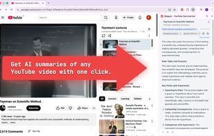 Magpie - YouTube Summarizer screenshot 1