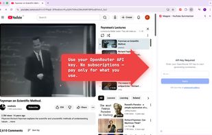 Magpie - YouTube Summarizer screenshot 3