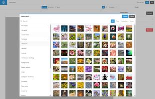 Mailforge screenshot 3