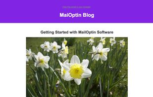 New WordPress post notification email campaign