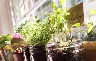 MakersKit screenshot 1