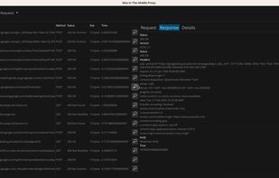 Man In The Middle Proxy screenshot 1