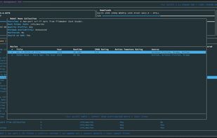 Managarr screenshot 2