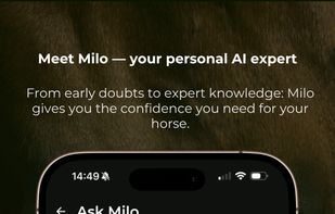 Milo Chat Assistent