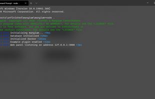Mangium pre-0.0.1 run in windows terminal
