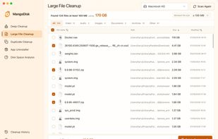 Large File Cleanup lists large files by type, size, path, and modified date.