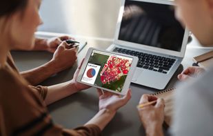 MangoMap screenshot 1