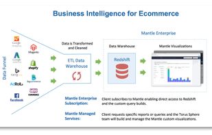 Mantle Enterprise Analytics screenshot 1