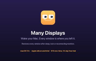 Many Displays screenshot 1