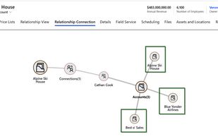 Visualize Dynamics 365 Entity records