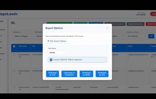 MapsLeads screenshot 1