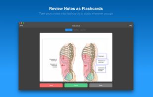 MarginNote screenshot 2