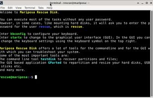 Mariposa console start