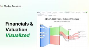 Financials & Valuations Visualized