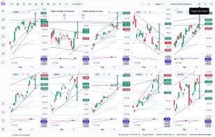 Review scans across chart grids with risk/reward and divergence mapped.