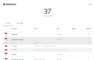 Within minutes, Marshal returns a sanitized, redacted threat report so you can take action. 